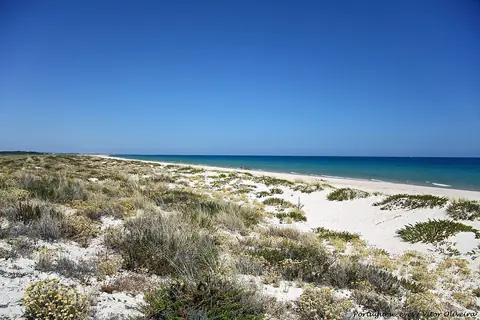 Ilha de Tavira