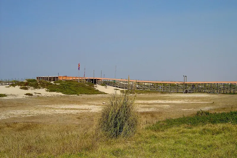 Praia de Francelos