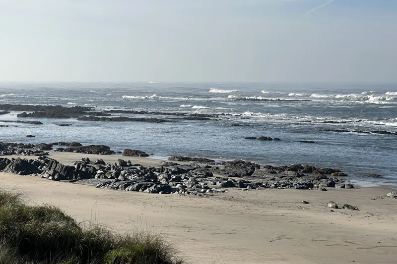 Praia da Amorosa