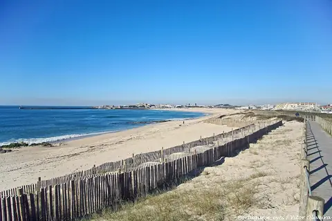 Praia da Árvore