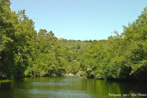 Praia Fluvial de Folgosa (Castro Daire)