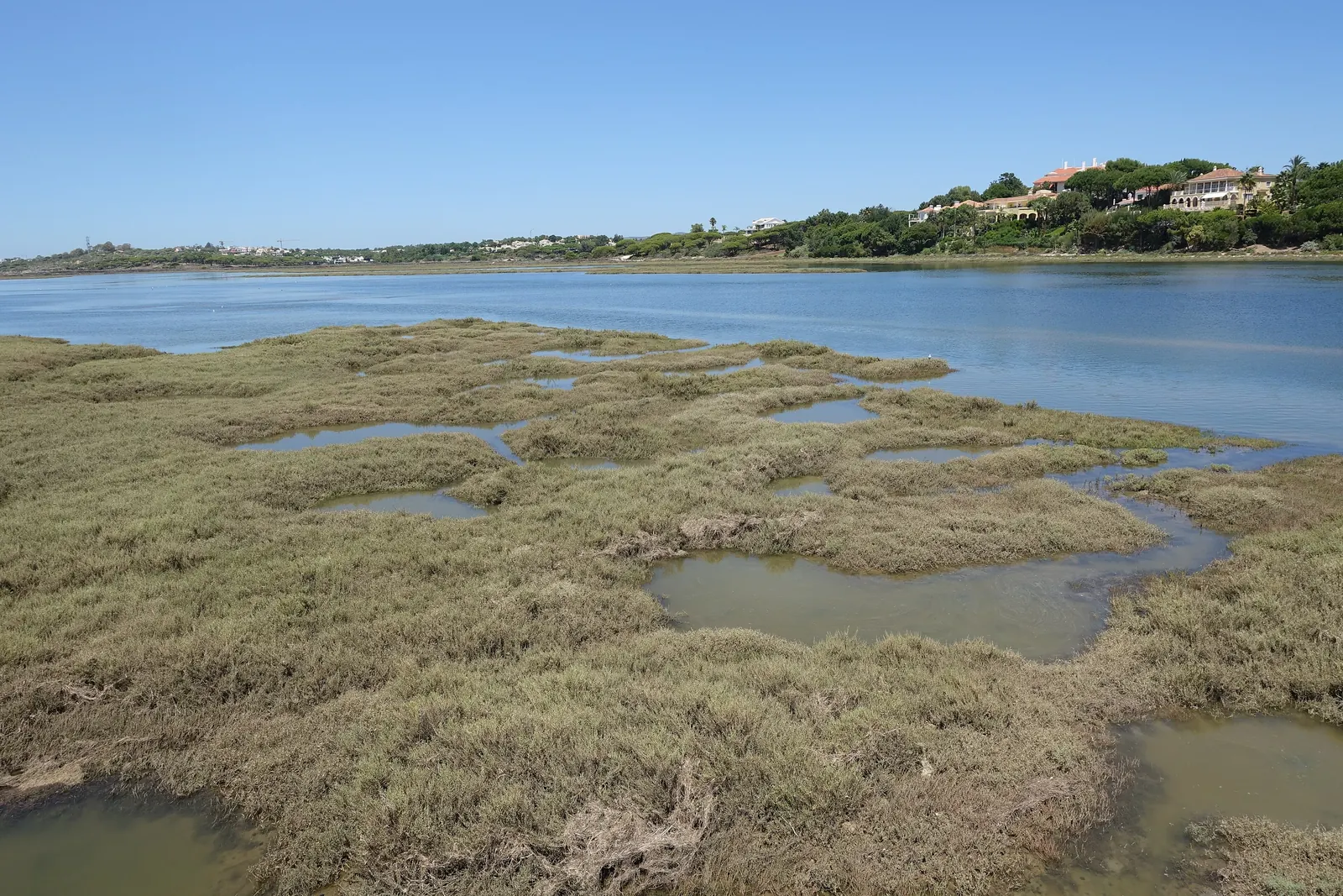 Sapal da Ria Formosa